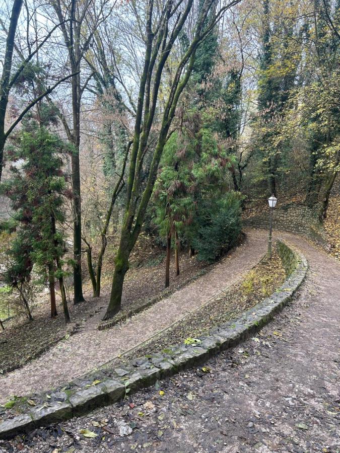 Historic Center-Lovely Nature 자그레브 외부 사진