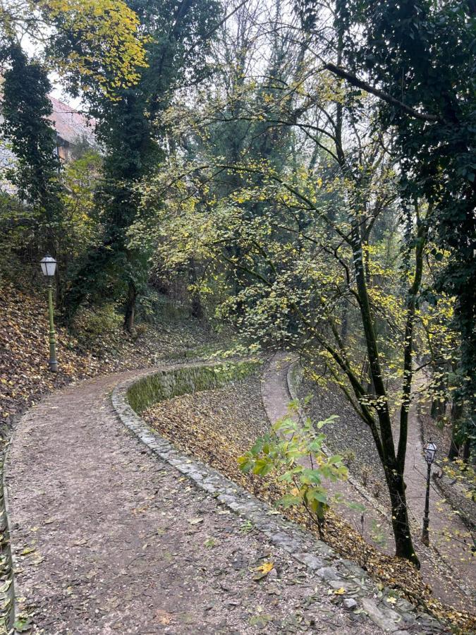 Historic Center-Lovely Nature 자그레브 외부 사진